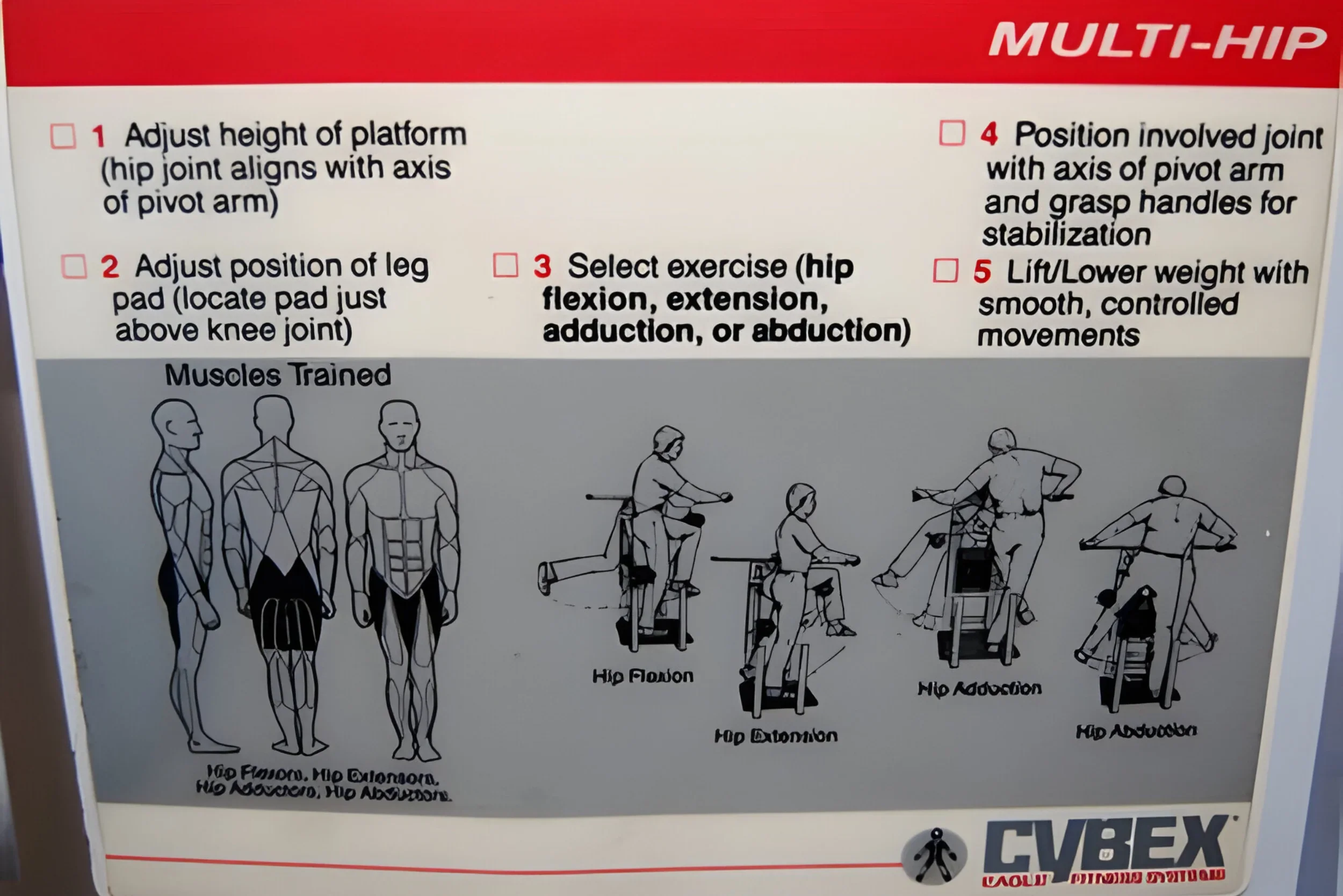 Cybex Classic Multi Hip (Remanufactured) - Image 2