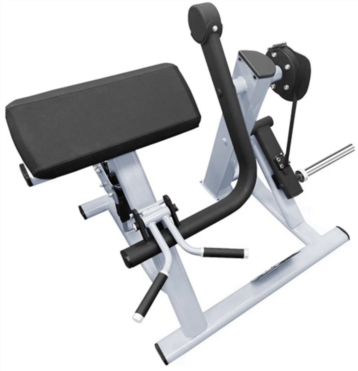 Biceps Arm Curl Plate Loaded - French Fitness Diablo (New) - Image 2