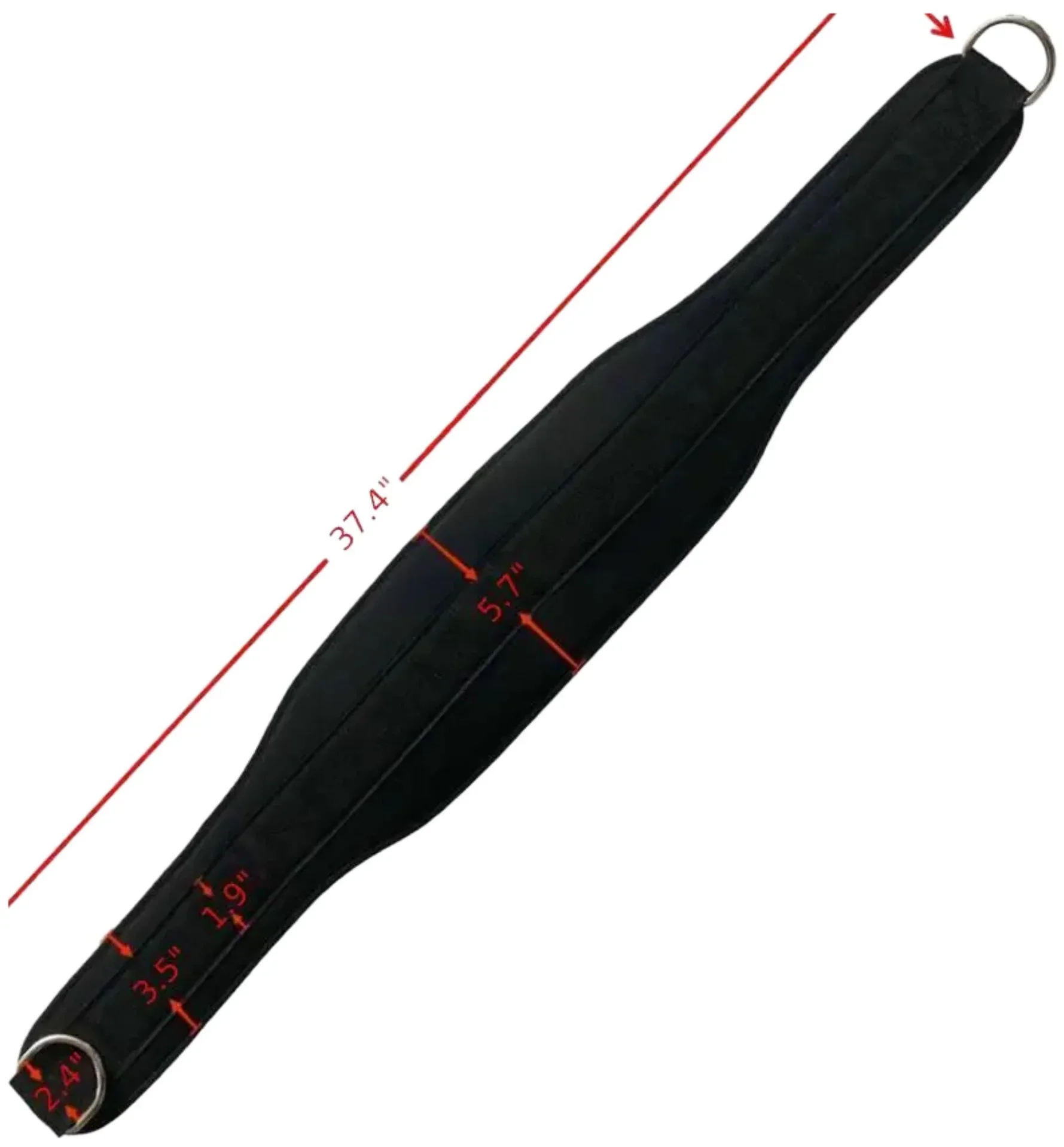 French Fitness EVA Nylon Weightlifting Belt (New) - Image 6