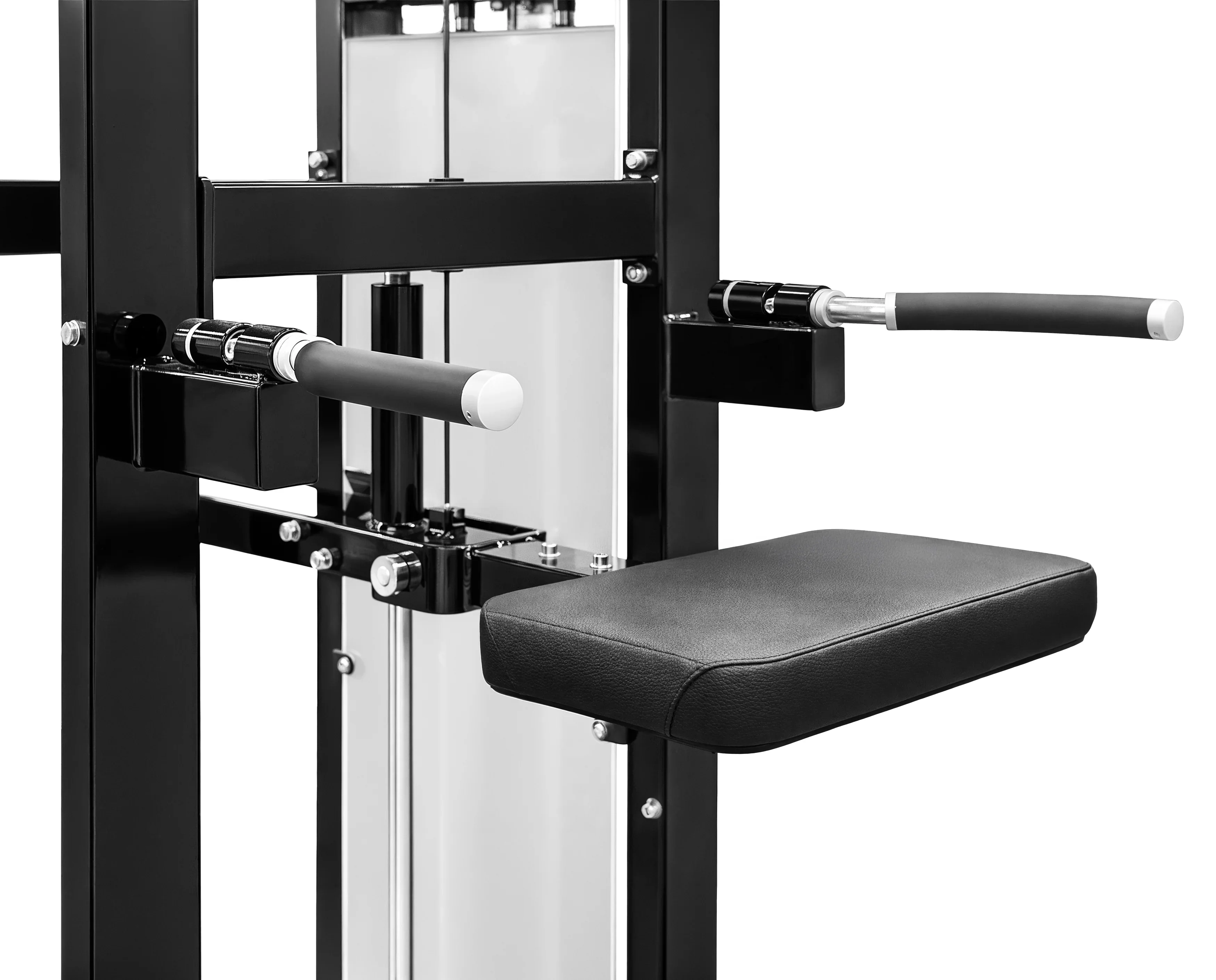 Assisted Chin Dip - French Fitness Tahoe (New) - Image 10