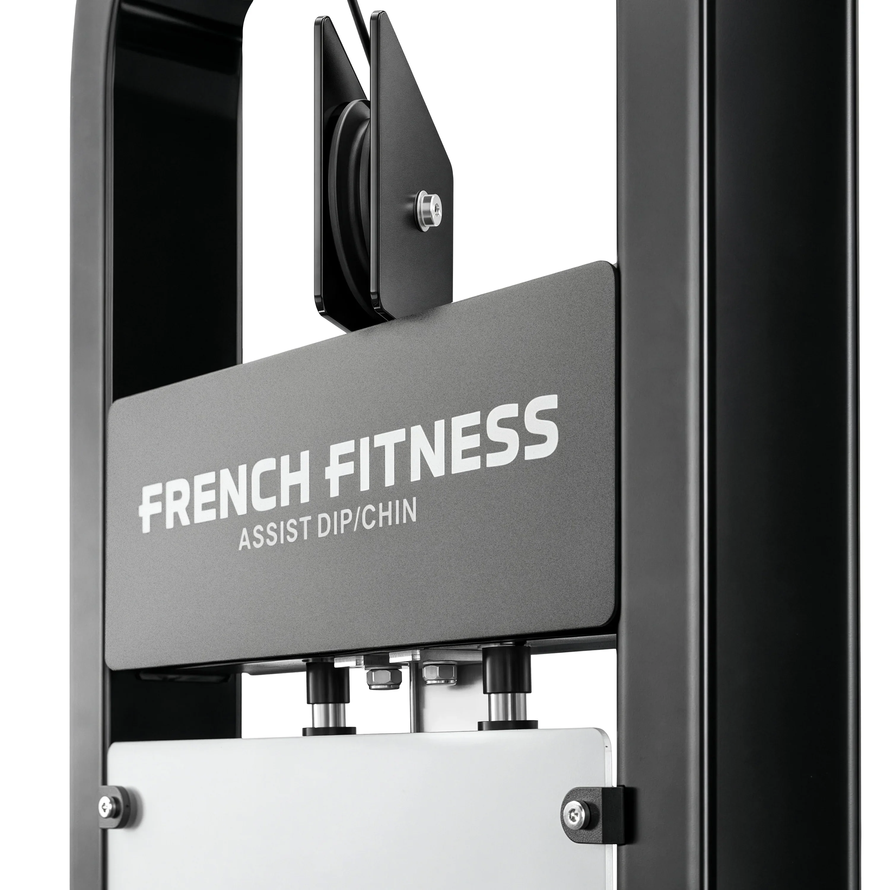 Assisted Chin Dip - French Fitness Tahoe (New) - Image 12
