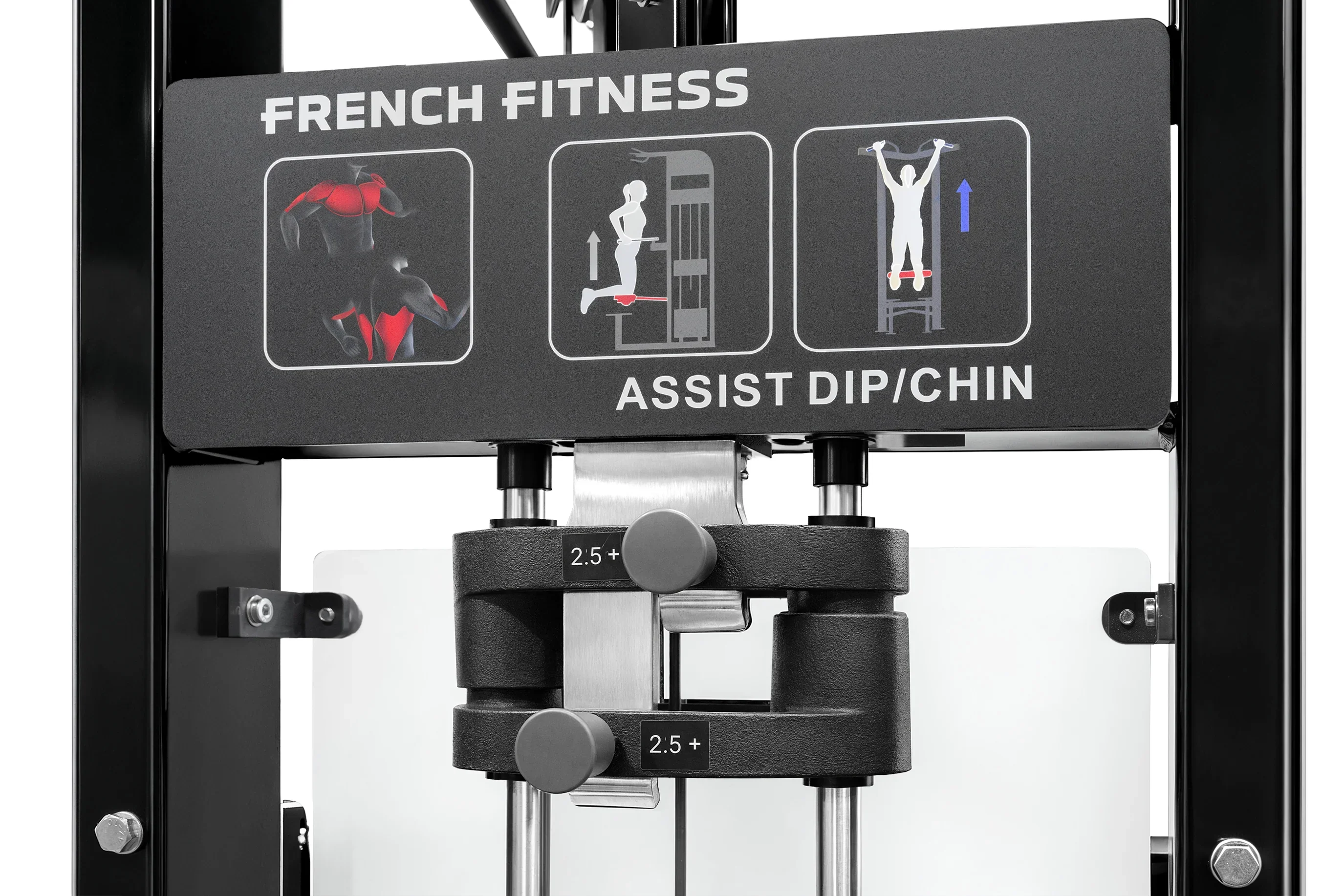 Assisted Chin Dip - French Fitness Tahoe (New) - Image 7