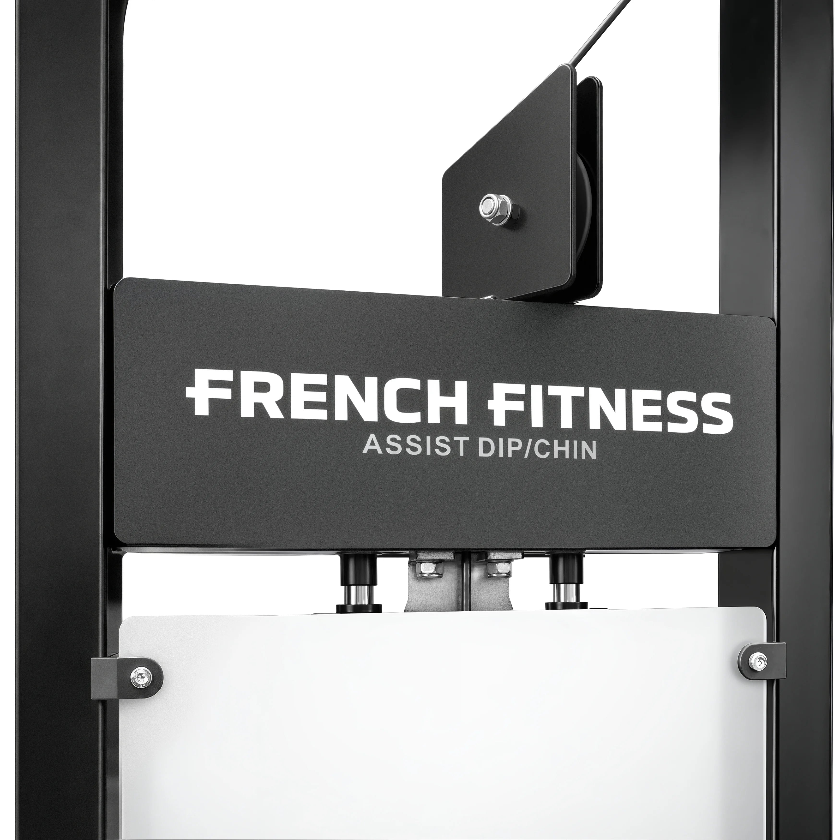 Assisted Chin Dip - French Fitness Tahoe (New) - Image 8