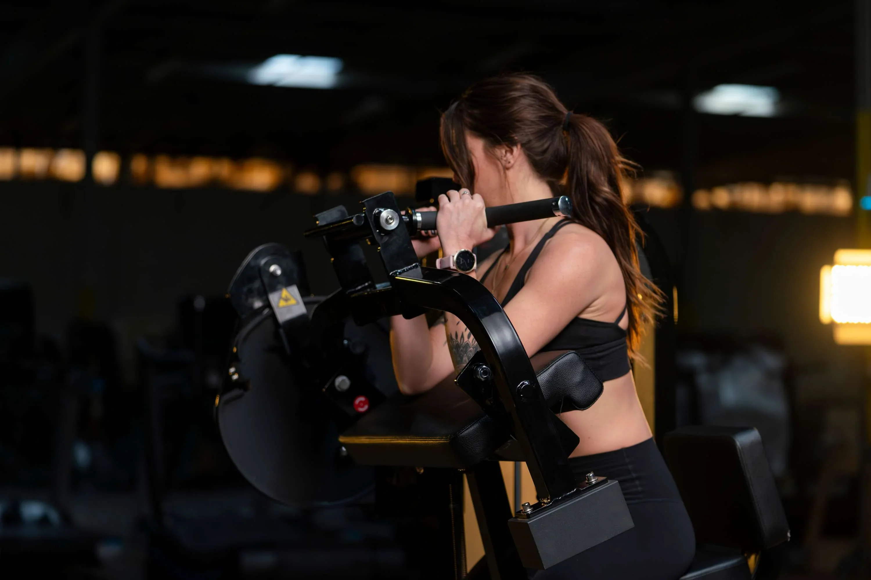 Bicep Arm Curl - French Fitness Tahoe (New) - Image 5