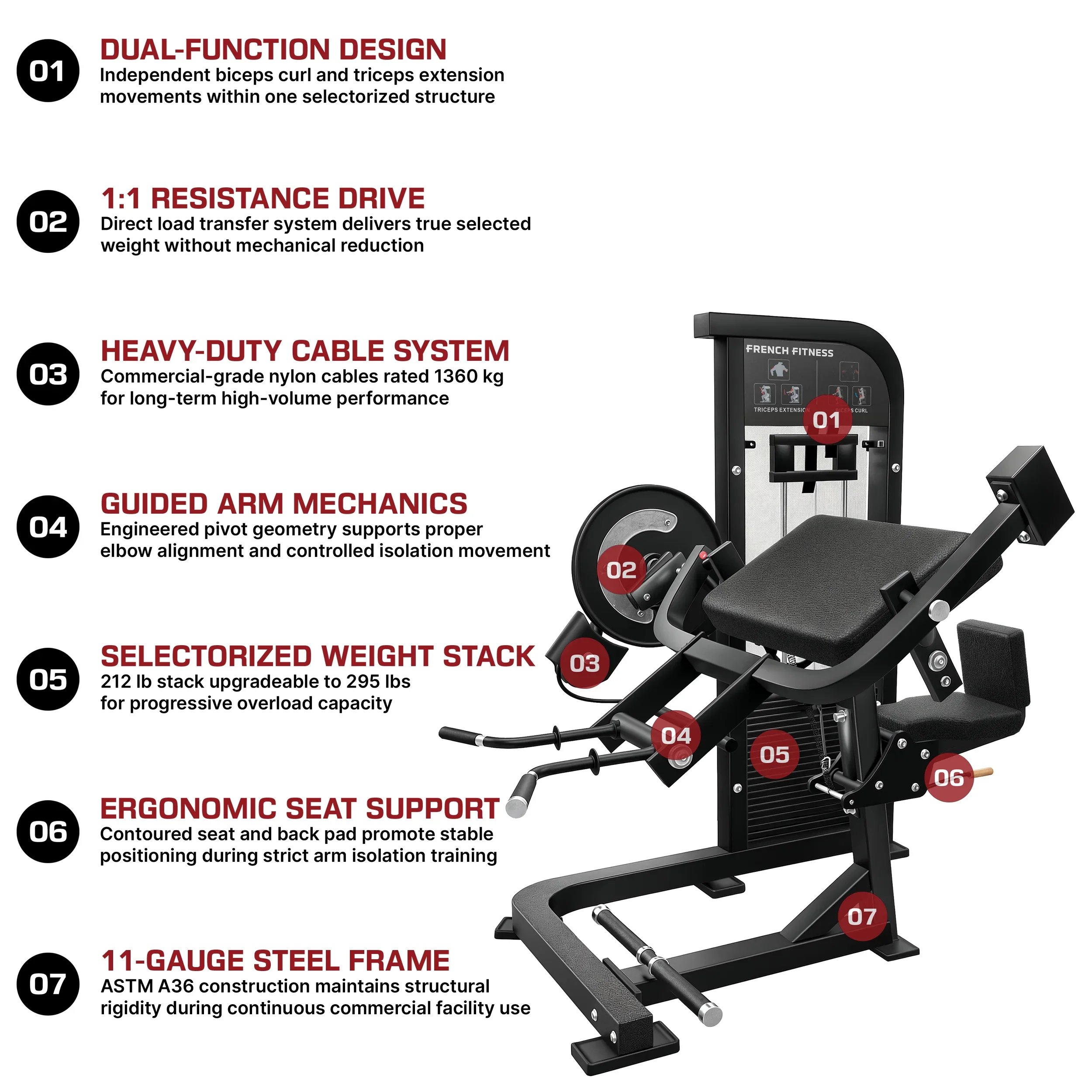 Dual Bicep Curl and Triceps - French Fitness Tahoe (New) - Image 2