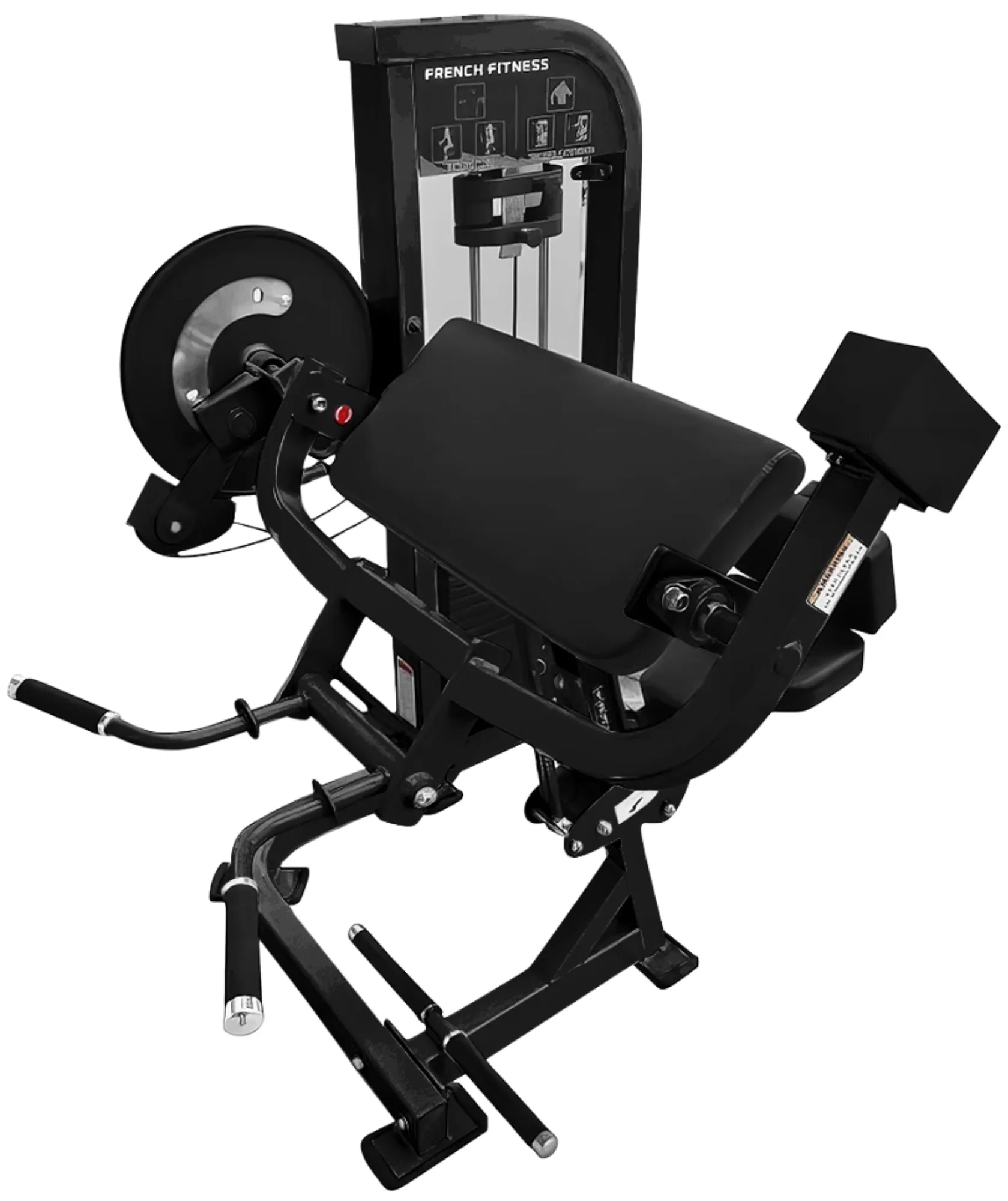 Dual Bicep Curl and Triceps - French Fitness Tahoe (New) - Image 4
