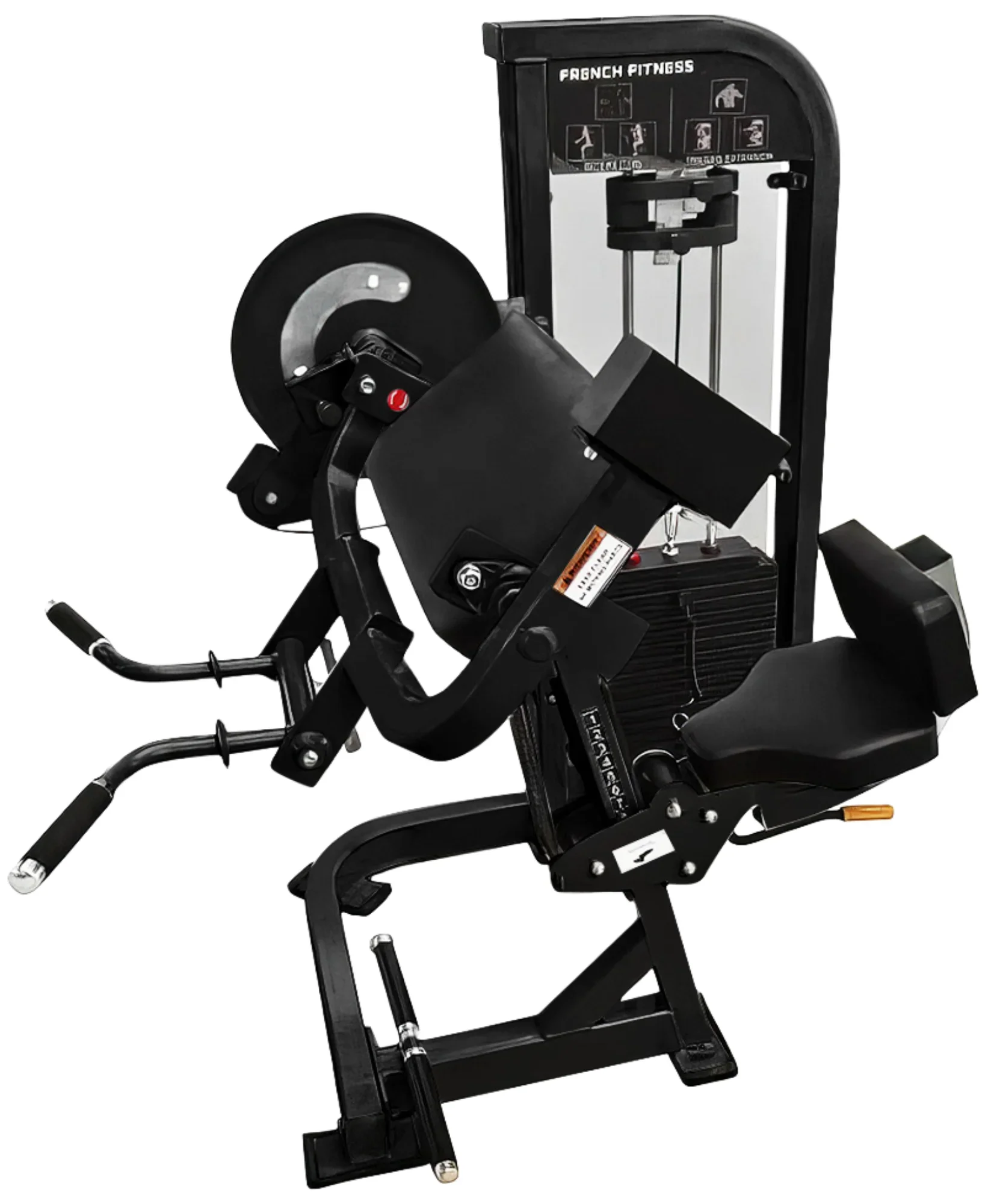 Dual Bicep Curl and Triceps - French Fitness Tahoe (New) - Image 6