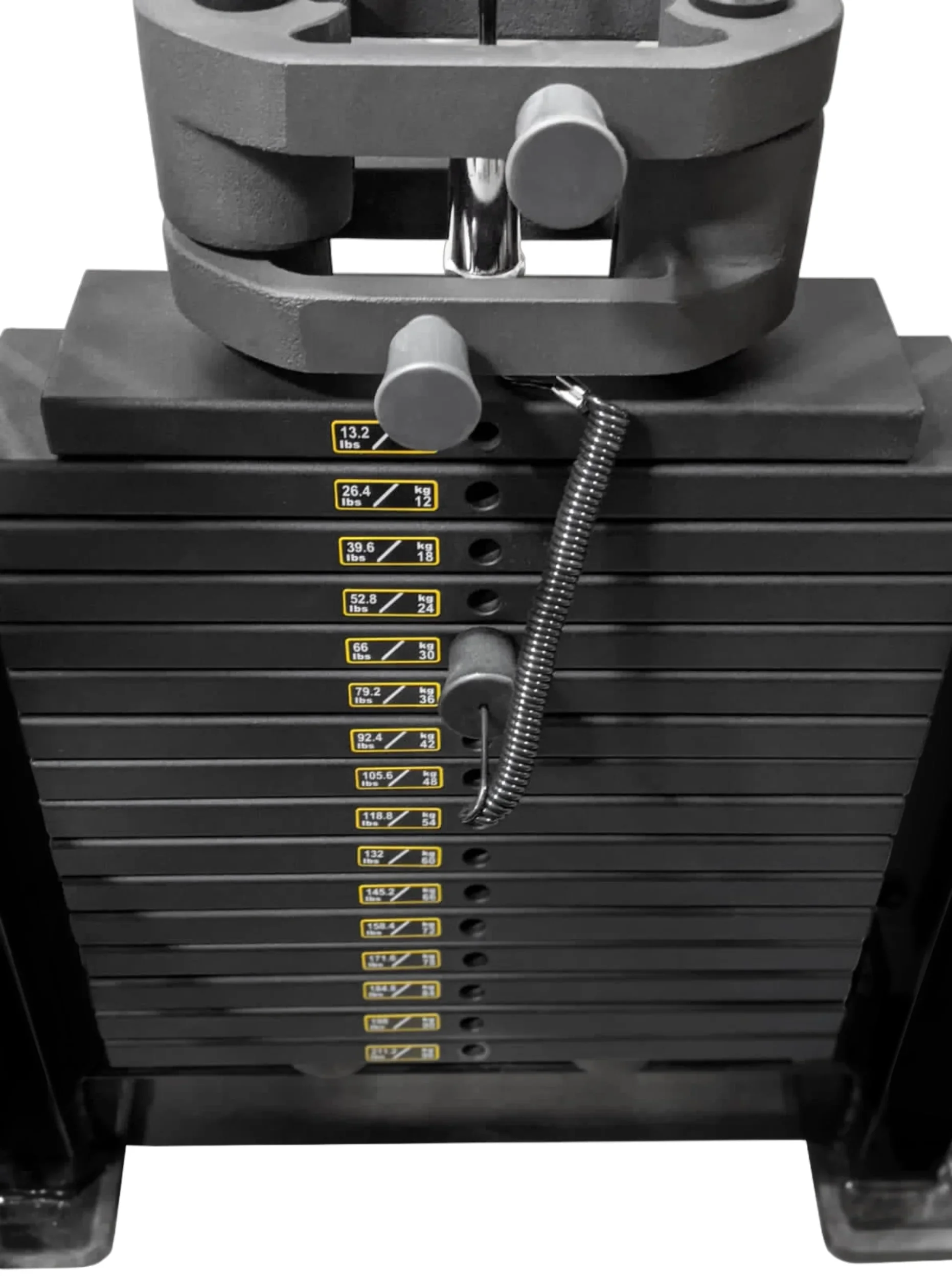 Seated Leg Curl Leg Extension - French Fitness Tahoe (New) - Image 6