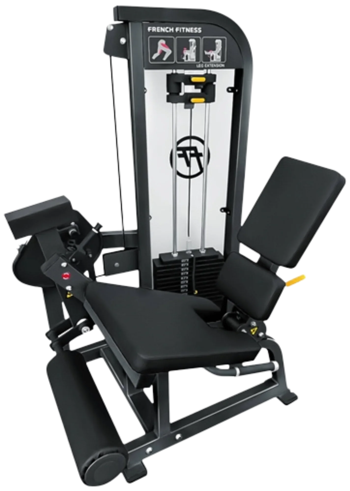 Seated Leg Extension - French Fitness Tahoe (New)