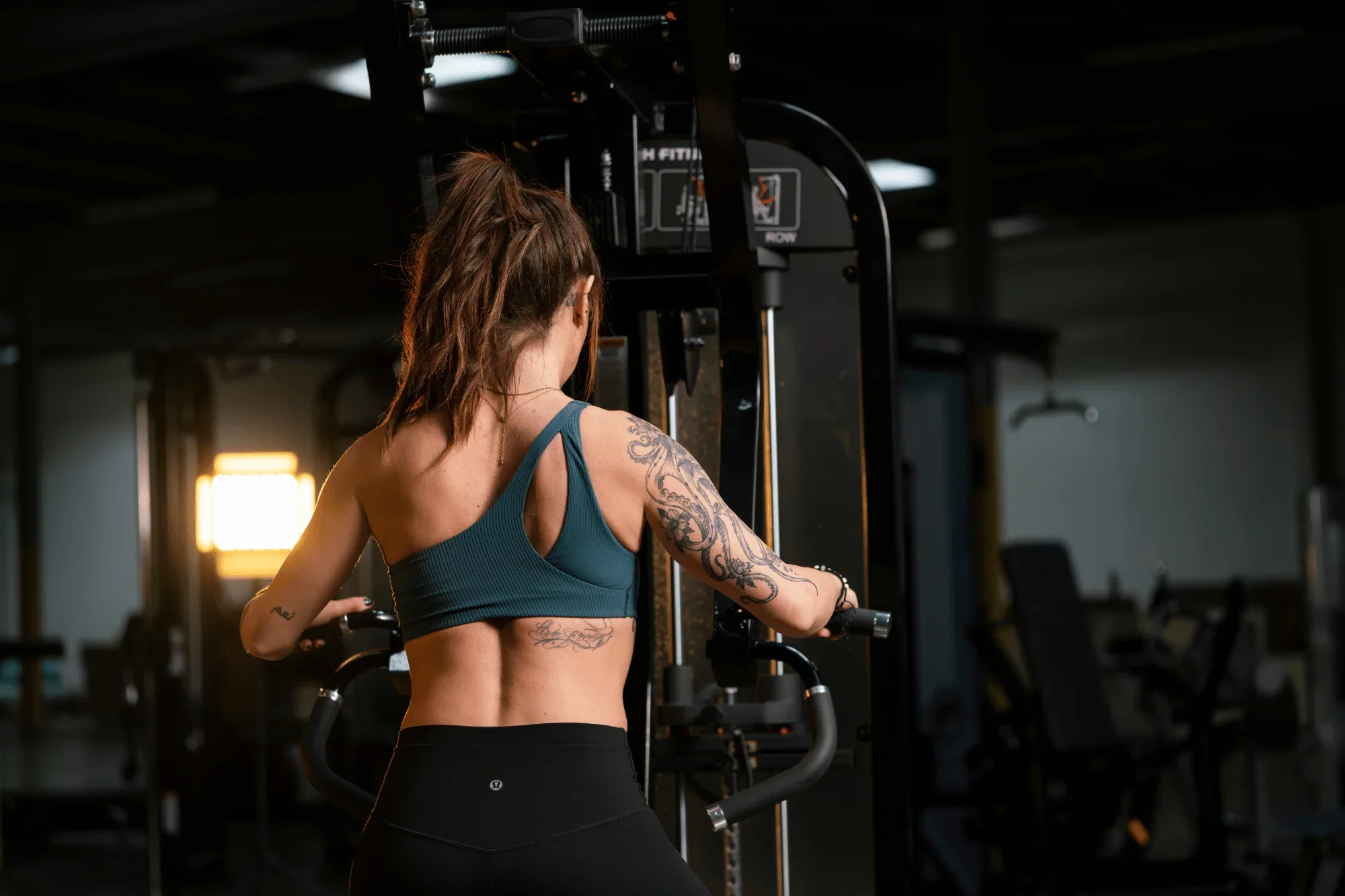 Seated Row - French Fitness Tahoe (New) - Image 5