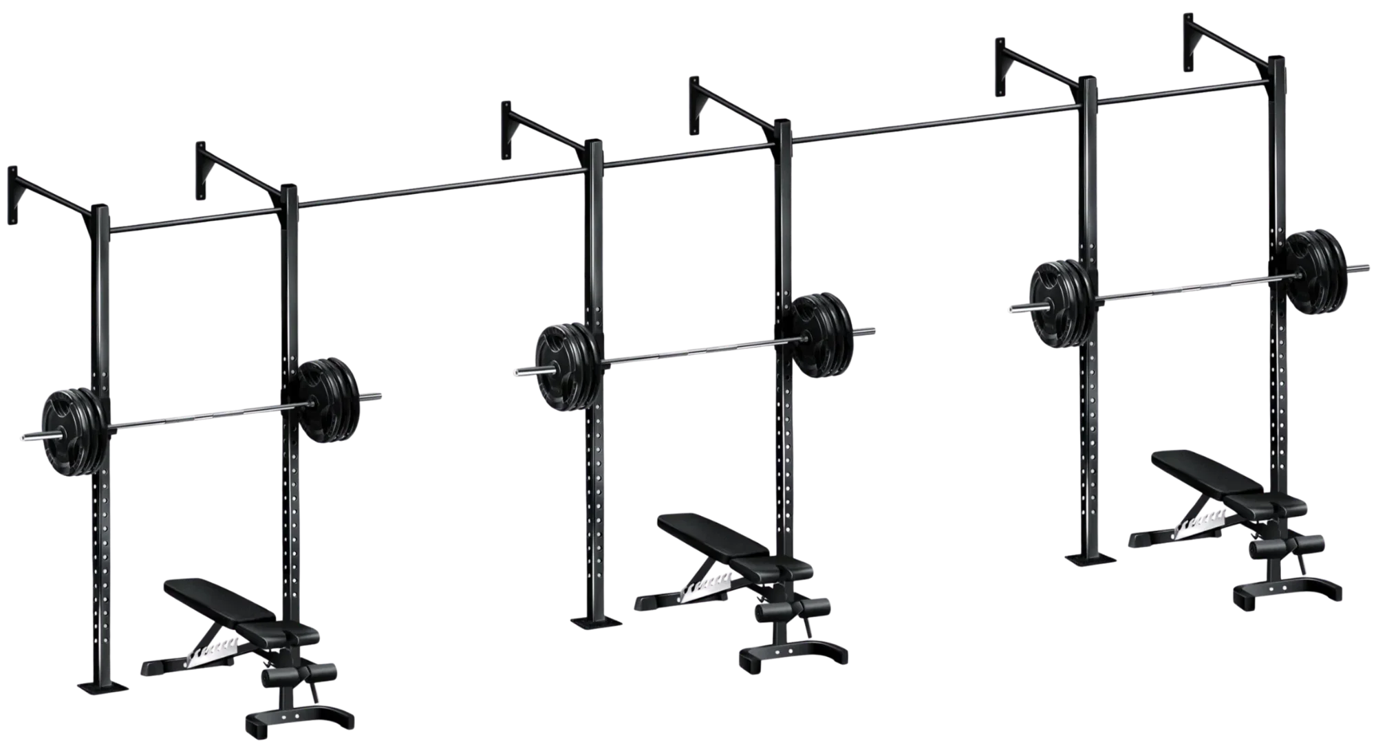 French Fitness Wall Mount Rig & Rack System 1 (New)