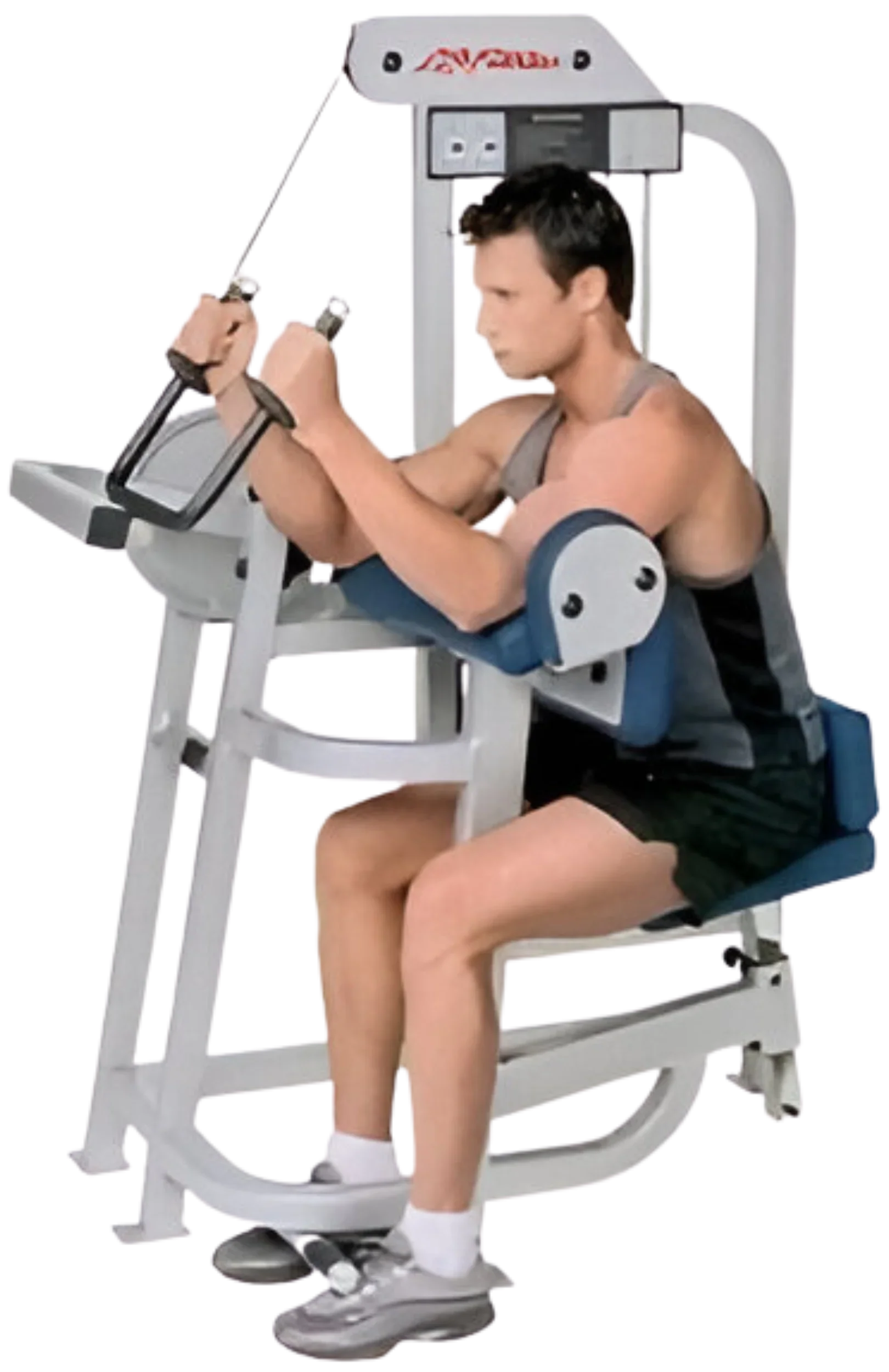 Life Fitness Pro / Pro1 Tricep Arm Extension (Remanufactured)