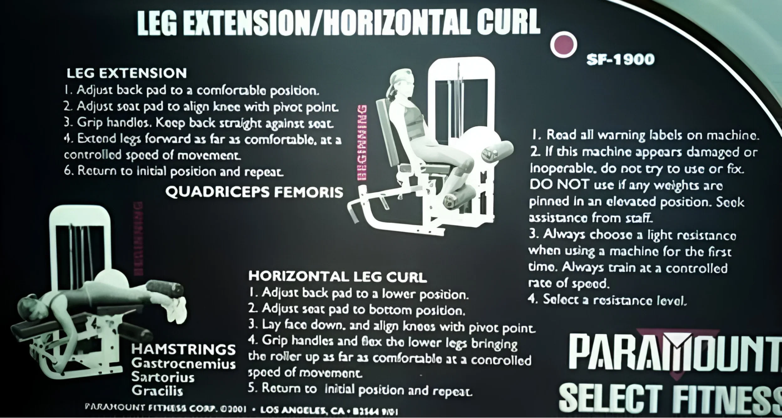Paramount Leg Extension/Horizontal Curl SF-1900 (Remanufactured) - Image 4